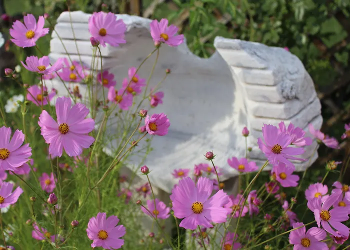 Galeria In The Garden Gæstehus Plovdiv