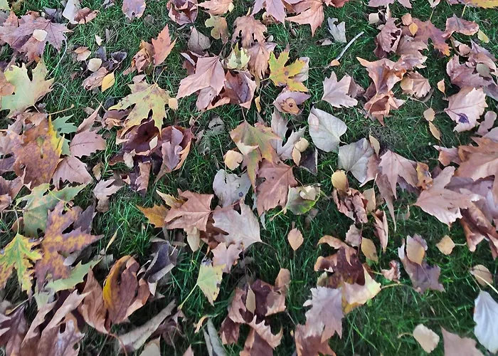 Gæstehus Galeria In The Garden Plovdiv