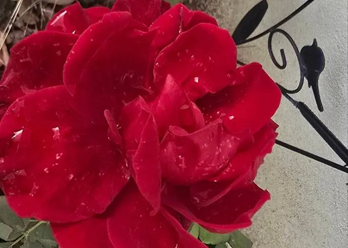 Gæstehus Galeria In The Garden 4*