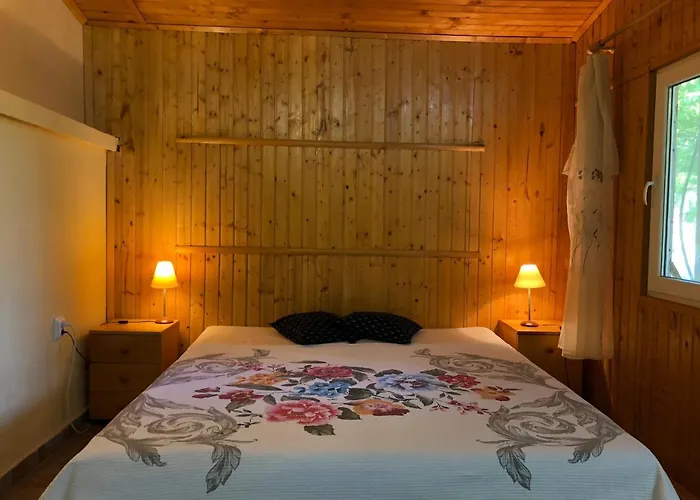 Galeria In The Garden