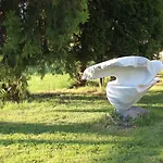 Galeria In The Garden Къща за гости 4*