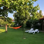 Къща за гости Galeria In The Garden 4*