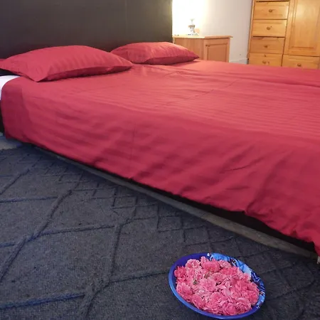 Galeria In The Garden