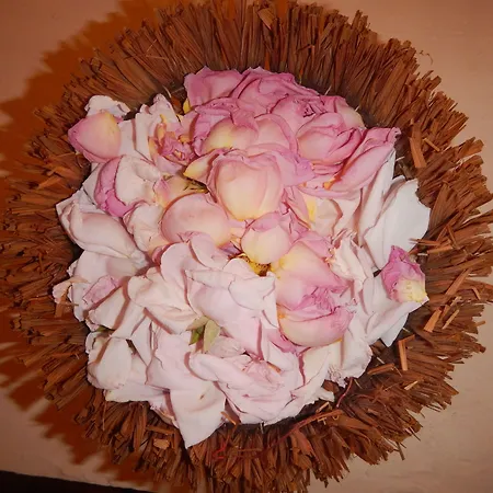 Къща за гости Galeria In The Garden 4*