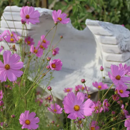 Galeria In The Garden Къща за гости Пловдив