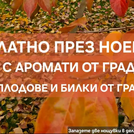 Galeria In The Garden Пловдив