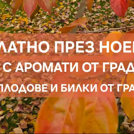 Galeria In The Garden Къща за гости 4*