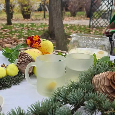 Galeria In The Garden Къща за гости
