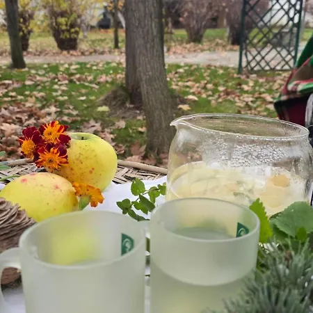 Galeria In The Garden 4* Filibe