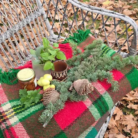 Galeria In The Garden Gasthuis 4*