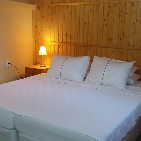 Gasthuis Galeria In The Garden 4*