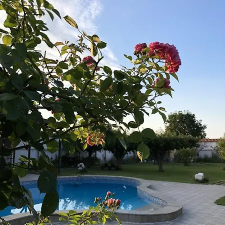 Galeria In The Garden Гостевой дом 4*