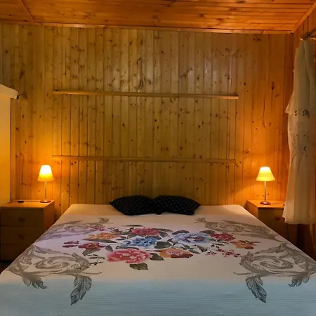 Galeria In The Garden