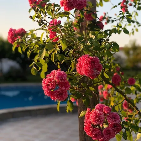 Galeria In The Garden Къща за гости