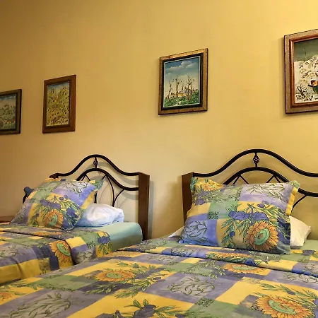 Galeria In The Garden