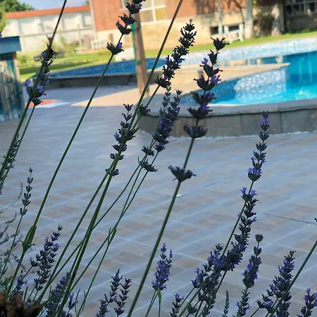 Къща за гости Galeria In The Garden