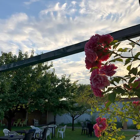 Galeria In The Garden