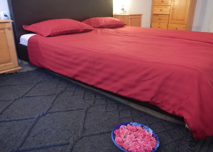 Galeria In The Garden