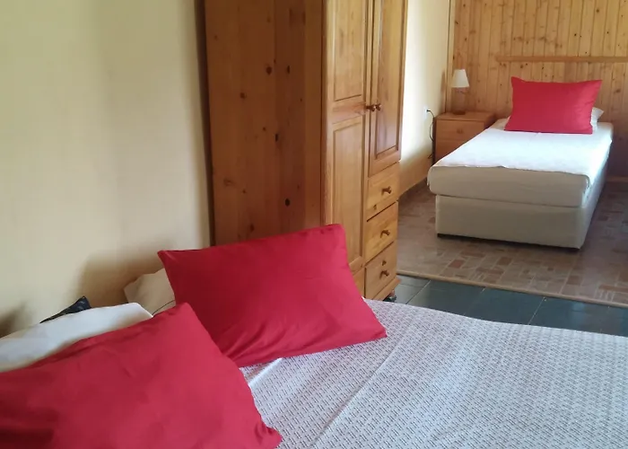 招待所 Galeria In The Garden