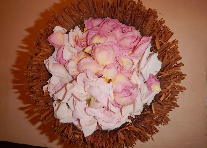 招待所 Galeria In The Garden 4*