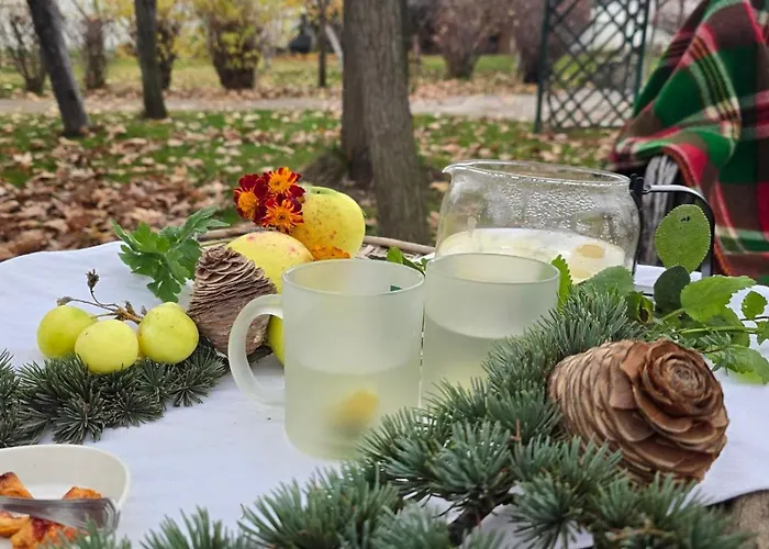 Galeria In The Garden 招待所