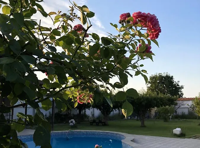 Galeria In The Garden Konukevi 4*