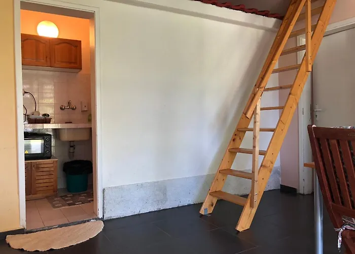 Galeria In The Garden 普罗夫迪夫