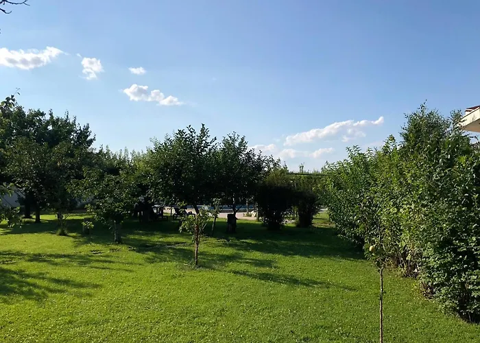 Galeria In The Garden 招待所