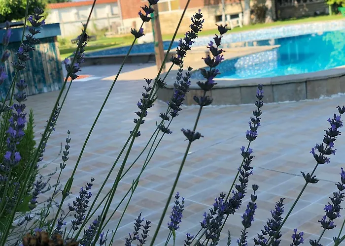 招待所 Galeria In The Garden