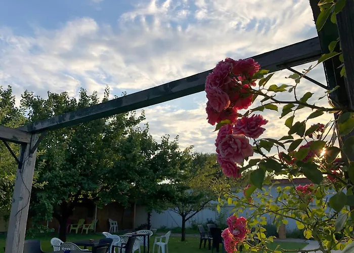 Galeria In The Garden